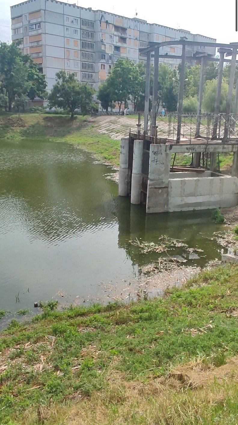В озері на Північній Салтівці з'явилися рожеві плями.