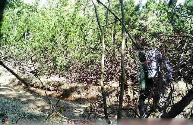 На границе с Румынией задержали экстремальных туристов с Харьковщины.