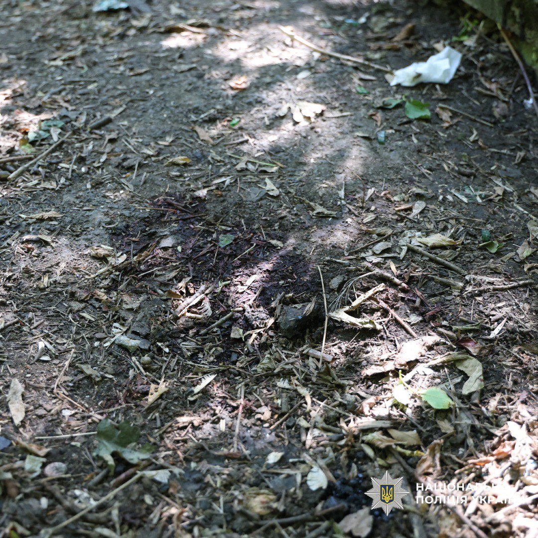 В Харькове 17-летний парень подозревается в убийстве и расчленении приятеля фото 1