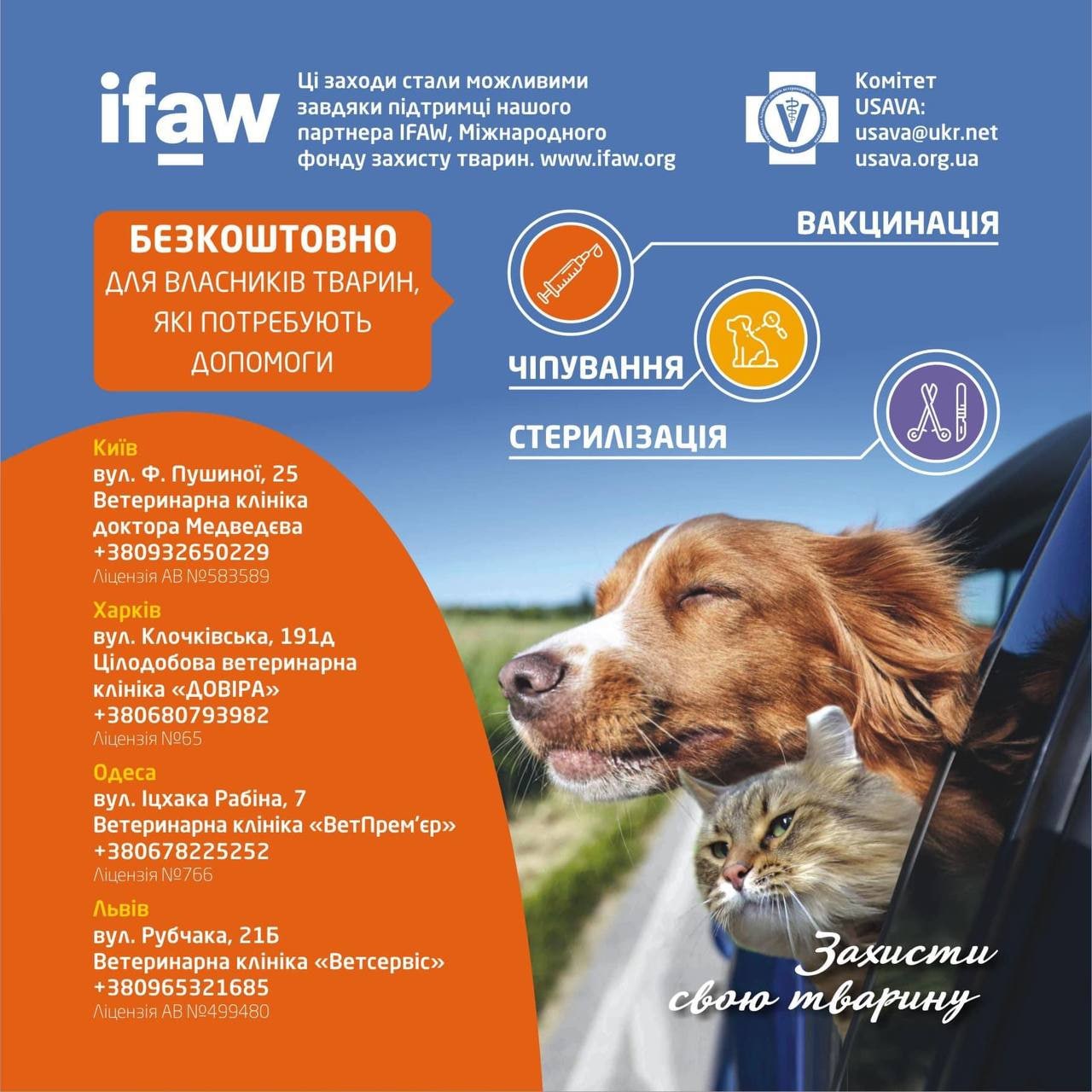 В Харькове можно бесплатно вакцинировать и стерилизовать домашних животных.