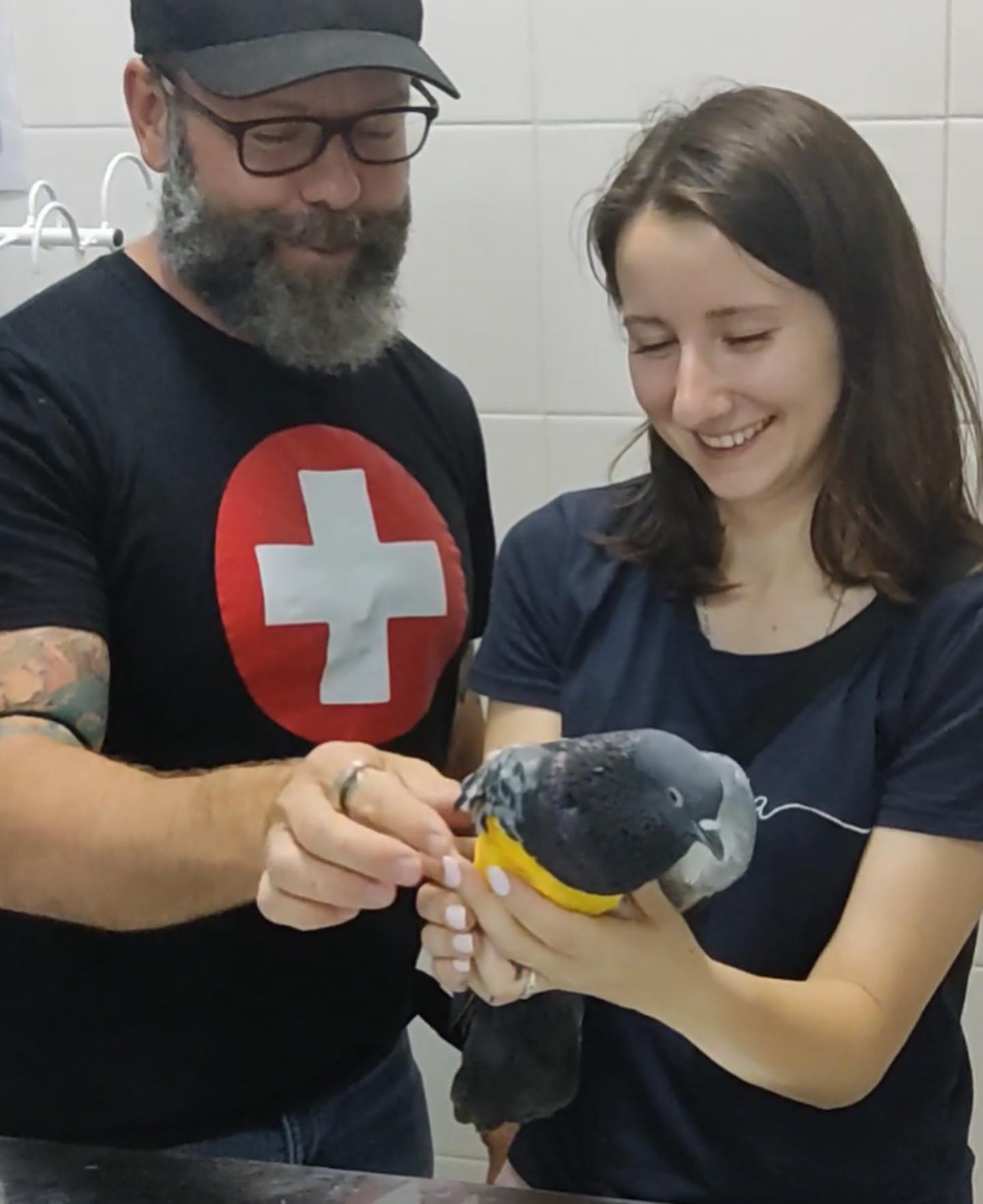 Лікувати тварин: до Харкова прилетів відомий канадський ветеринар.