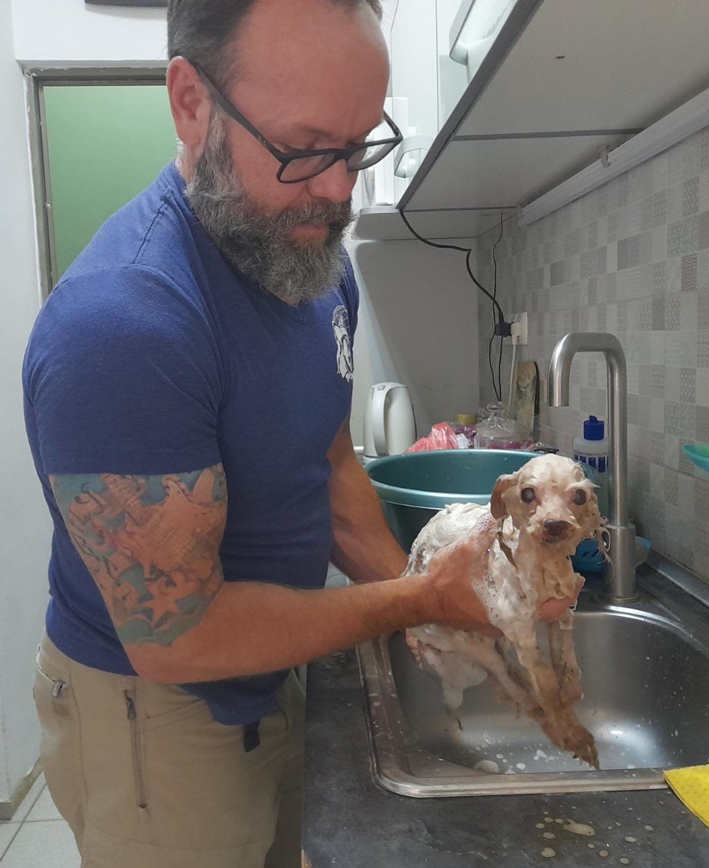 Лікувати тварин: до Харкова прилетів відомий канадський ветеринар.