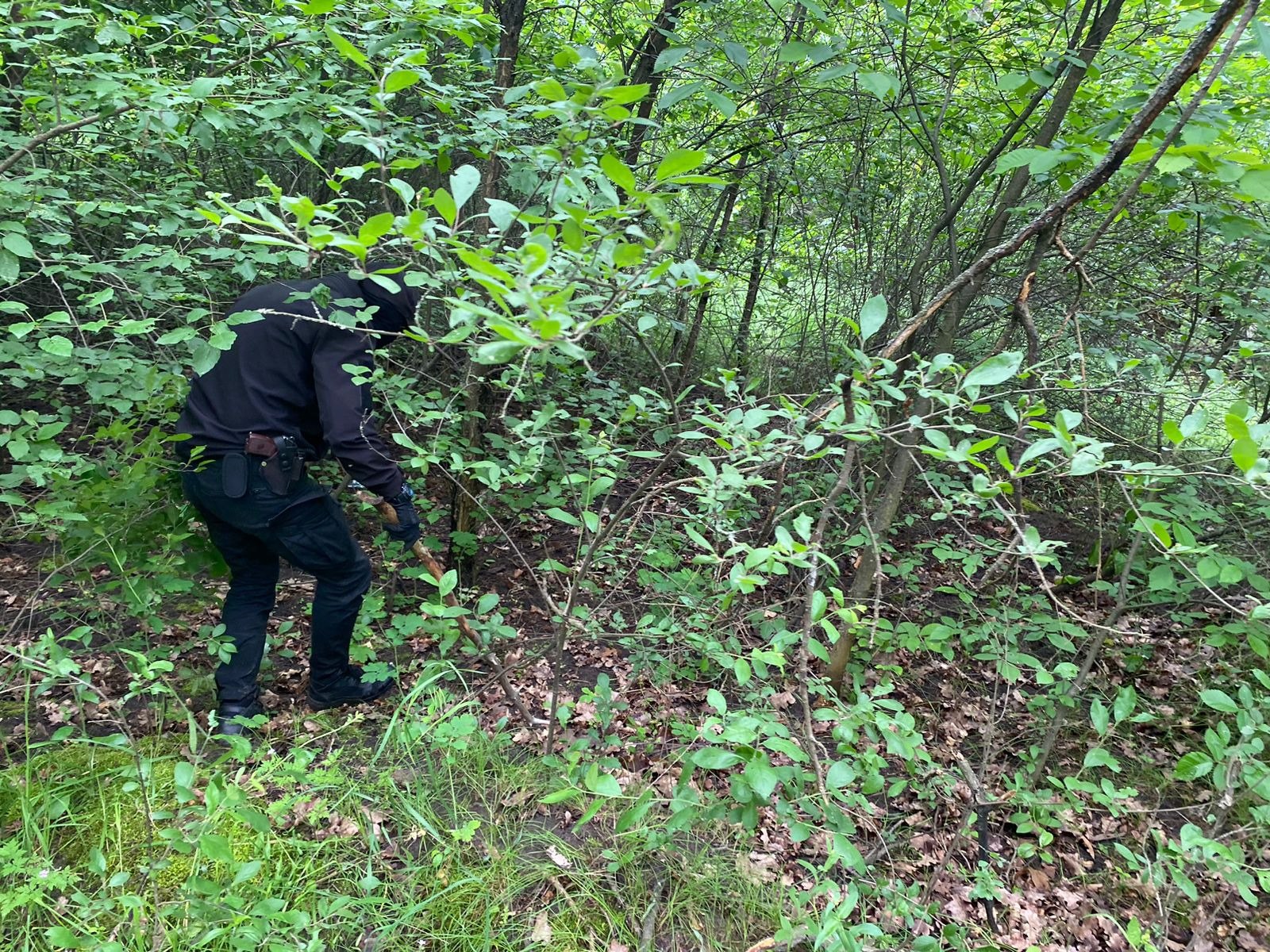 Искали четверо суток: пропавшую в Харьковской области двухлетнюю Виолетту нашли в лесу.