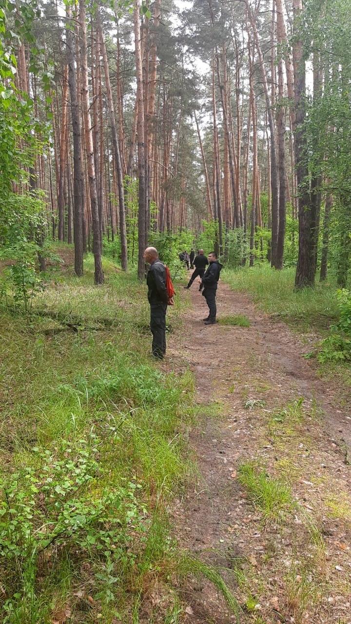 Искали четверо суток: пропавшую в Харьковской области двухлетнюю Виолетту нашли в лесу.