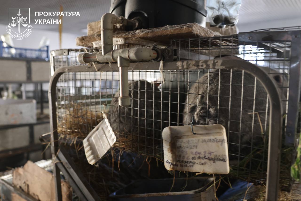 Удар по Харківському зоопарку: якісь тварини загинули.