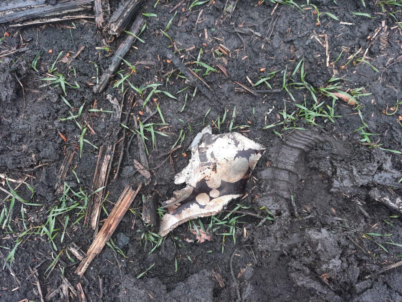 Обстріли прикордонних населених пунктів Харківщини: поліцейські документують наслідки - фото: ГУНП у Харківській області