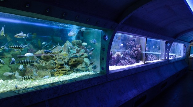 Океанариум