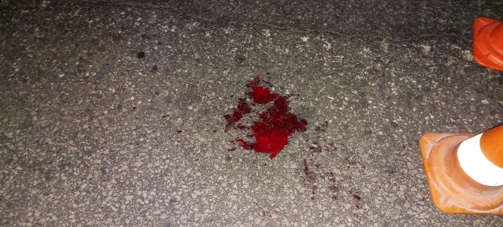 В новогоднюю ночь в Харькове произошло ДТП: пешеход получил переломы и травмы - фото: Полиция Харьковской области