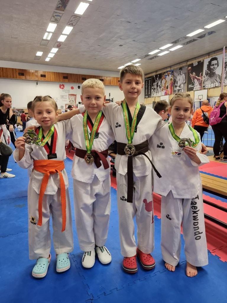 Харківські тхеквондисти вибороли нагороди на міжнародних та національних змаганнях