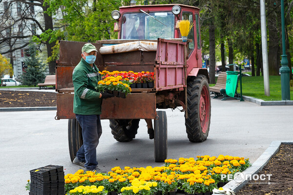 Петуния, бегония, колеус: в саду Шевченко высаживают 200 000 цветов фото 5
