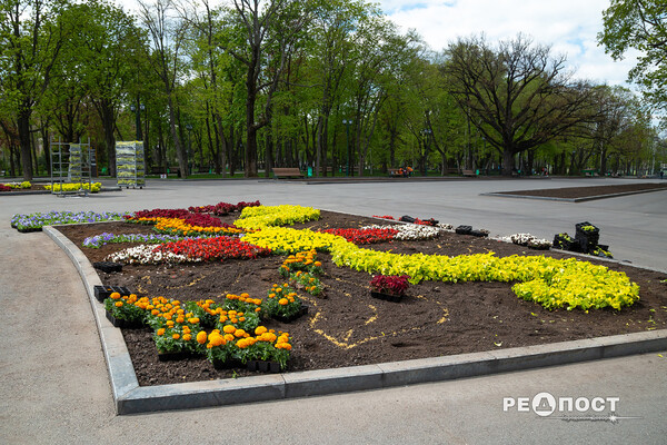 Петуния, бегония, колеус: в саду Шевченко высаживают 200 000 цветов фото 12