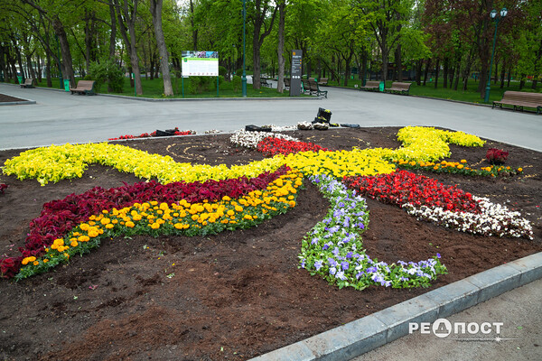 Петуния, бегония, колеус: в саду Шевченко высаживают 200 000 цветов фото 19