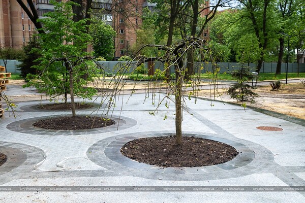 Амфитеатр и краснокнижные тюльпаны: в Харькове откроют после реконструкции Молодежный парк фото 13