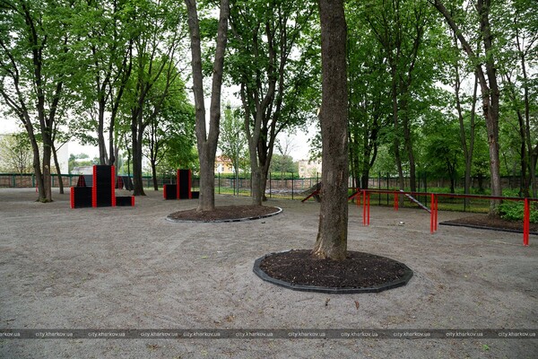 Амфитеатр и краснокнижные тюльпаны: в Харькове откроют после реконструкции Молодежный парк фото 15