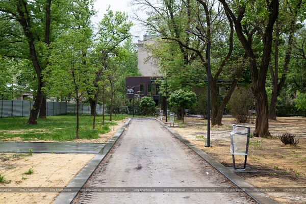 Амфитеатр и краснокнижные тюльпаны: в Харькове откроют после реконструкции Молодежный парк фото 19