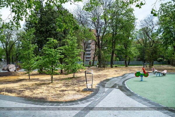 Амфитеатр и краснокнижные тюльпаны: в Харькове откроют после реконструкции Молодежный парк фото 28
