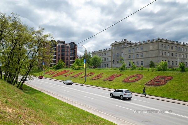 С сердечком: в Харькове высадили 100-метровую клумбу фото 2