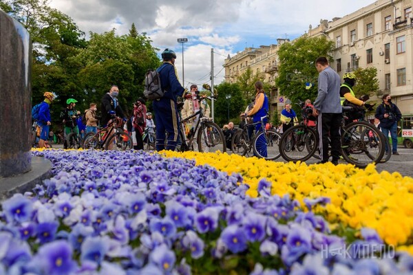 Велозаезд, автопробег, узоры на площади: как в Харькове отпраздновали День вышиванки фото 18