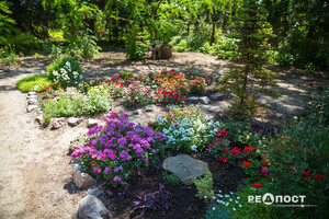 Плетистые, парковые и миниатюрные: в Харьковском ботаническом саду расцвели розы фото 23