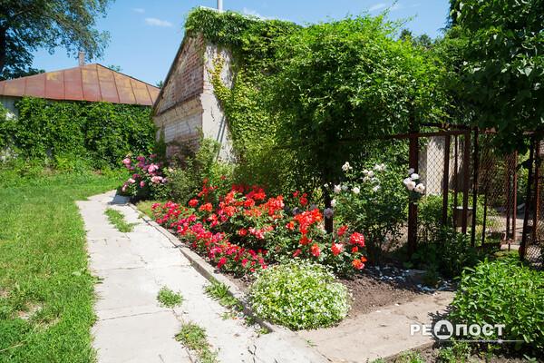 Плетистые, парковые и миниатюрные: в Харьковском ботаническом саду расцвели розы фото 35