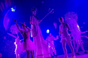 Панды, фламинго, шоу акробатов: в Харькове стартовал Фестиваль гигантских китайских фонарей (фоторепортаж) фото 2