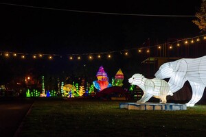 Панды, фламинго, шоу акробатов: в Харькове стартовал Фестиваль гигантских китайских фонарей (фоторепортаж) фото 4