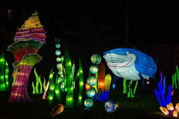 Панды, фламинго, шоу акробатов: в Харькове стартовал Фестиваль гигантских китайских фонарей (фоторепортаж) фото 5