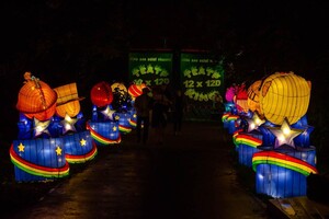 Панды, фламинго, шоу акробатов: в Харькове стартовал Фестиваль гигантских китайских фонарей (фоторепортаж) фото 6