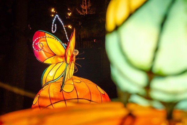 Панды, фламинго, шоу акробатов: в Харькове стартовал Фестиваль гигантских китайских фонарей (фоторепортаж) фото 9