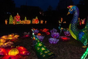 Бесплатный вход: 14 октября на фестивале китайских фонарей в Харькове &ndash; социальный день фото 11
