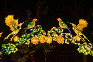 Панды, фламинго, шоу акробатов: в Харькове стартовал Фестиваль гигантских китайских фонарей (фоторепортаж) фото 15