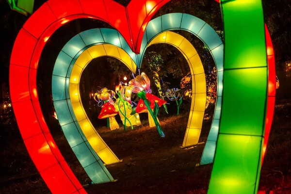 Панды, фламинго, шоу акробатов: в Харькове стартовал Фестиваль гигантских китайских фонарей (фоторепортаж) фото 17