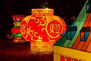 Панды, фламинго, шоу акробатов: в Харькове стартовал Фестиваль гигантских китайских фонарей (фоторепортаж) фото 18