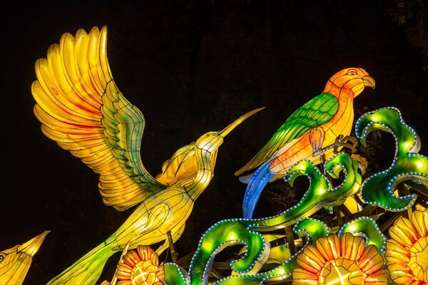Панды, фламинго, шоу акробатов: в Харькове стартовал Фестиваль гигантских китайских фонарей (фоторепортаж) фото 19