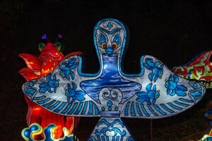 Панды, фламинго, шоу акробатов: в Харькове стартовал Фестиваль гигантских китайских фонарей (фоторепортаж) фото 21