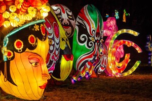 Панды, фламинго, шоу акробатов: в Харькове стартовал Фестиваль гигантских китайских фонарей (фоторепортаж) фото 23