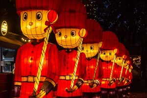 Панды, фламинго, шоу акробатов: в Харькове стартовал Фестиваль гигантских китайских фонарей (фоторепортаж) фото 33