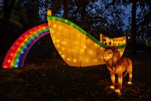 Панды, фламинго, шоу акробатов: в Харькове стартовал Фестиваль гигантских китайских фонарей (фоторепортаж) фото 34