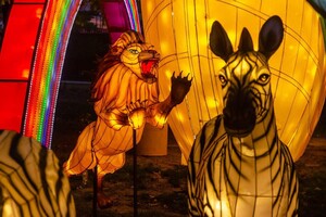 Панды, фламинго, шоу акробатов: в Харькове стартовал Фестиваль гигантских китайских фонарей (фоторепортаж) фото 41