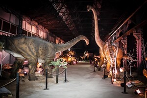 Интерактивная выставка &quot;Планета динозавров&quot;: фото 2 Арт-завод &quot;Механика&quot;
