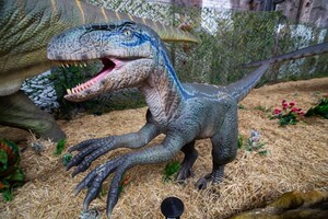 Интерактивная выставка &quot;Планета динозавров&quot;: фото 7 Арт-завод &quot;Механика&quot;