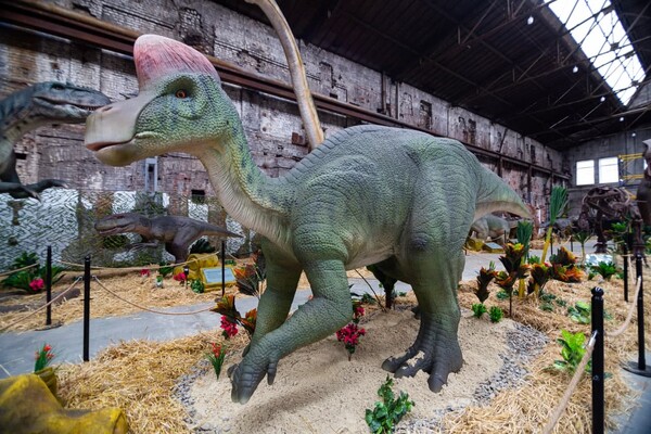 Интерактивная выставка &quot;Планета динозавров&quot;: фото 8 Арт-завод &quot;Механика&quot;