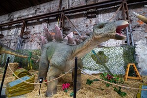 Интерактивная выставка &quot;Планета динозавров&quot;: фото 9 Арт-завод &quot;Механика&quot;