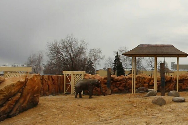Фото: zoo.kharkov.ua