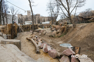 Фоторепортаж: как выглядит харьковский зоопарк за четыре месяца до открытия фото 16