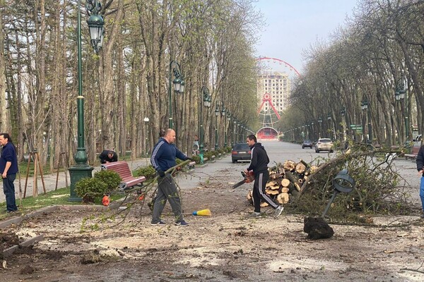 У парку Горького комунальники прибирають після російських обстрілів. || Фото: t.me/citykharkivua